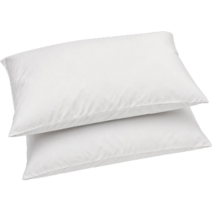 Two ordinary pillows